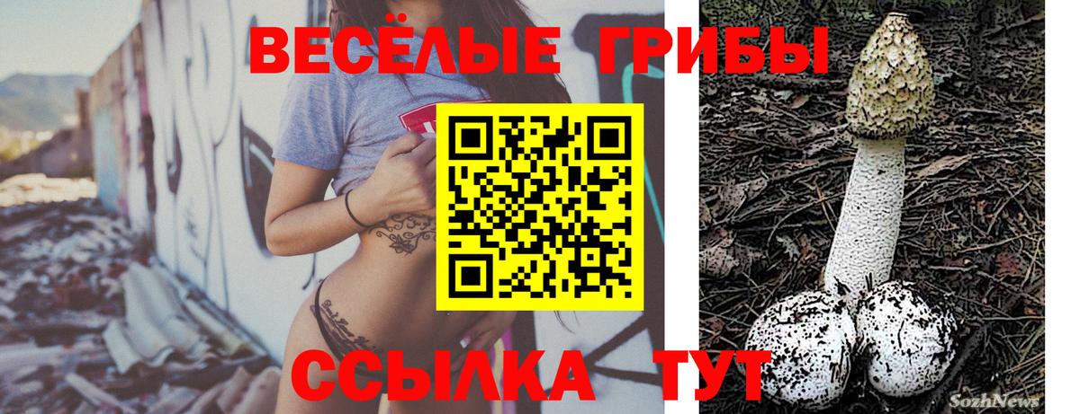 Ейск  Галлюциногенные грибы Psilocybe  купить  сайты  Галлюциногенные грибы Magic Shrooms  Вход с VPN 